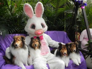 picture-with-easter-bunny