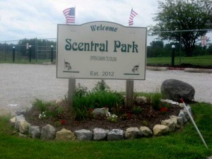 scentral-park-01