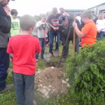 WILD FLOWER GARDEN CLUB AND THE DARKE COUNTY 4H BEEF CLUB JOIN FORCES TO PLANT TREES AT THE DARKE COUNTY ANIMAL SHELTER