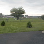 WILD FLOWER GARDEN CLUB AND THE DARKE COUNTY 4H BEEF CLUB JOIN FORCES TO PLANT TREES AT THE DARKE COUNTY ANIMAL SHELTER